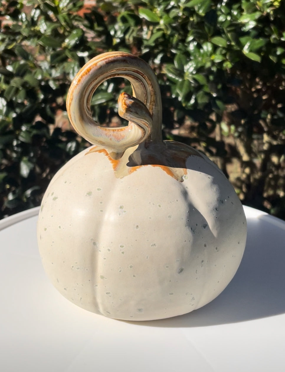 Pumpkin - Large Cream